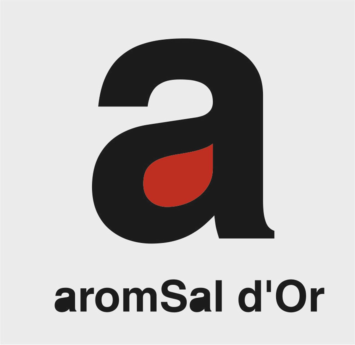 LOGO-CONCURS-DE-SAL